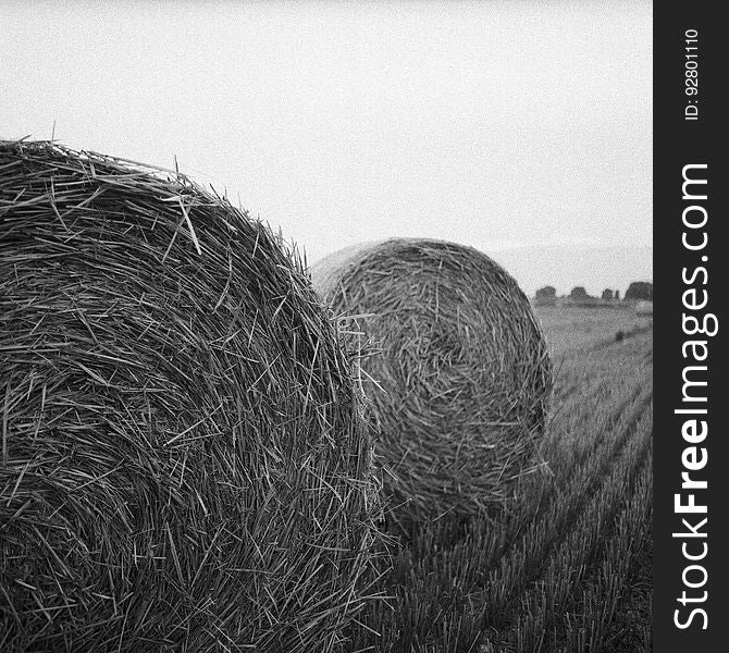 Gray Scale Photo of Haystack on Field