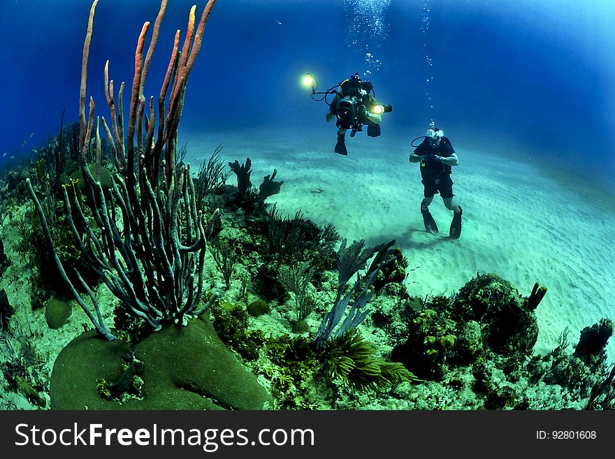 2 Scuba Diver Underwater