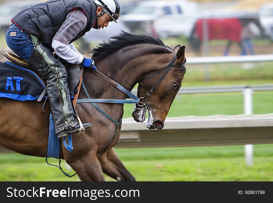 Horse Backriding Race