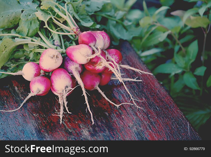 Fresh radishes on wooden background