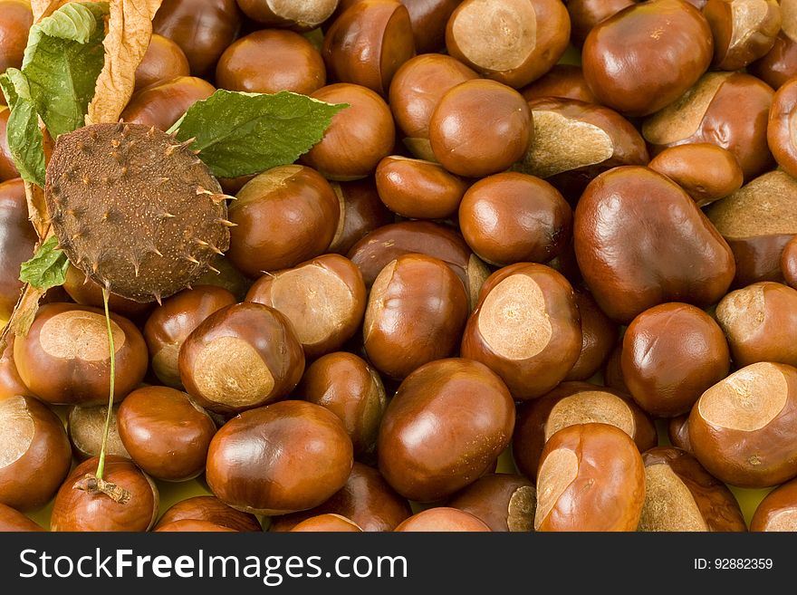 A pile of fresh chestnuts and a complete fruit.