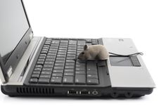 Laptop With Toy Mouse Stock Photography Laptop With Toy Mouse Stock Photography