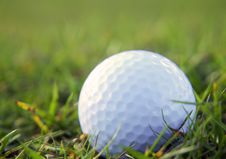 Free Golf Ball In Rough Grass Stock Image - 9293981