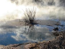 Geothermals, Kuirau Park, Rotorua, New Zealand Royalty Free Stock Photo Geothermals, Kuirau Park, Rotorua, New Zealand Royalty Free Stock Photo