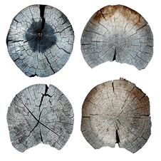 Four Old Cut Off Logs Stock Images Four Old Cut Off Logs Stock Images
