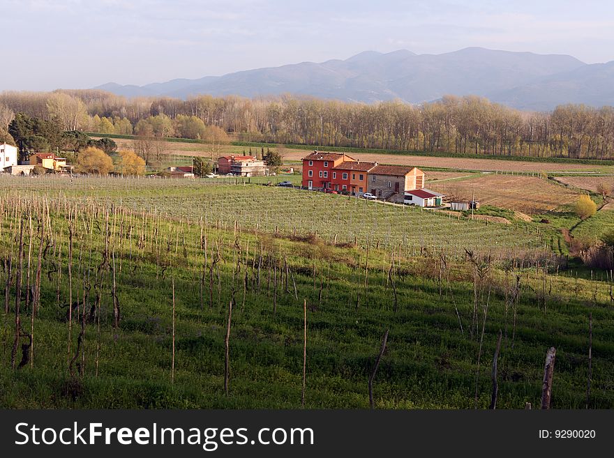 Farm, Tuscany, Italy