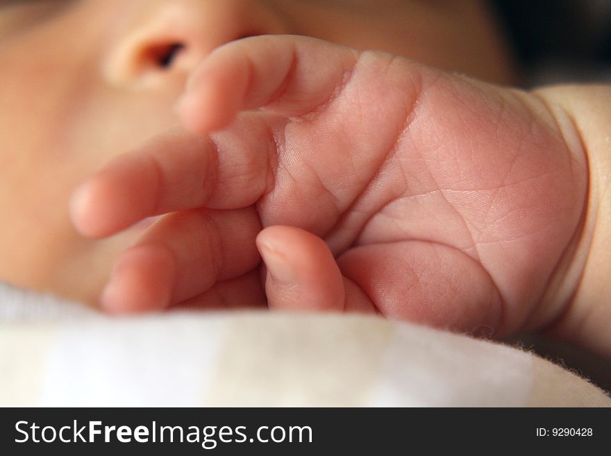 Detail of newborn baby hand