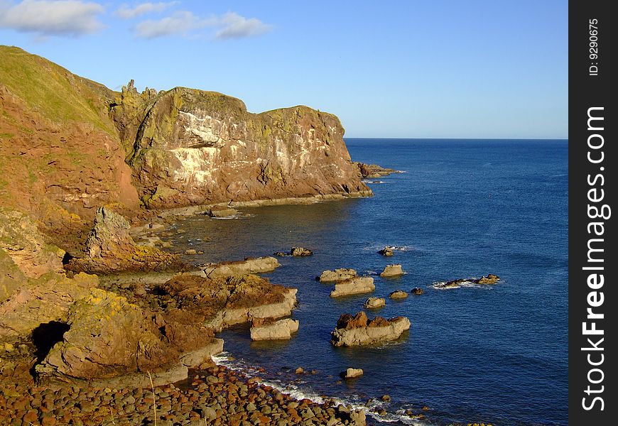St abbs head cliffs and craigs