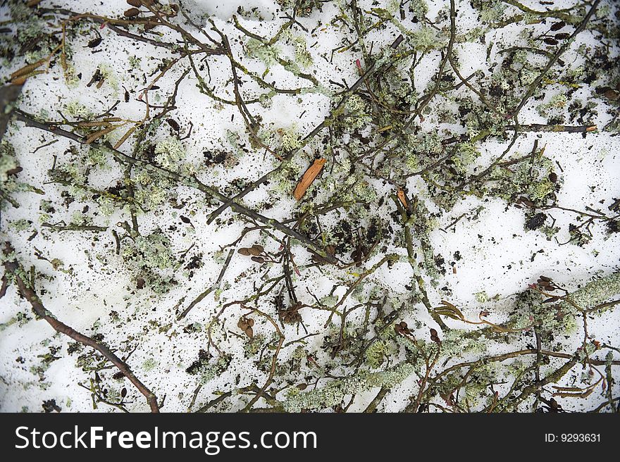 Broken Branches Background