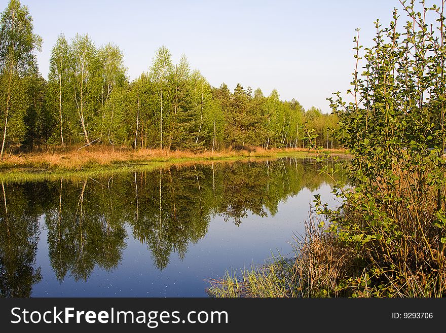 River bank view on spring time. River bank view on spring time