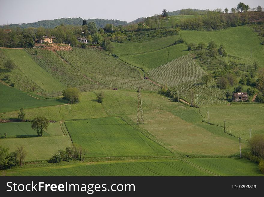 Different cultures produce different plots of shades of green. Different cultures produce different plots of shades of green