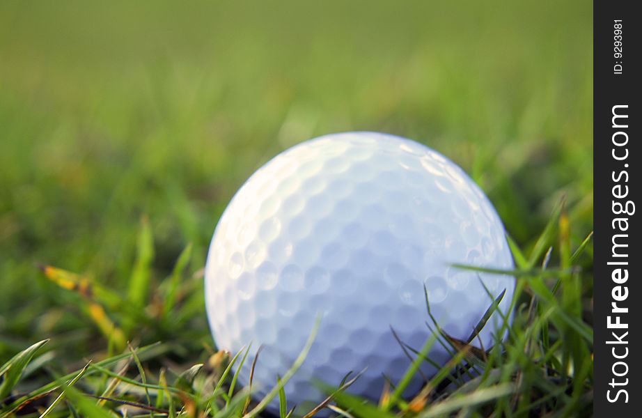 Golf ball in rough grass