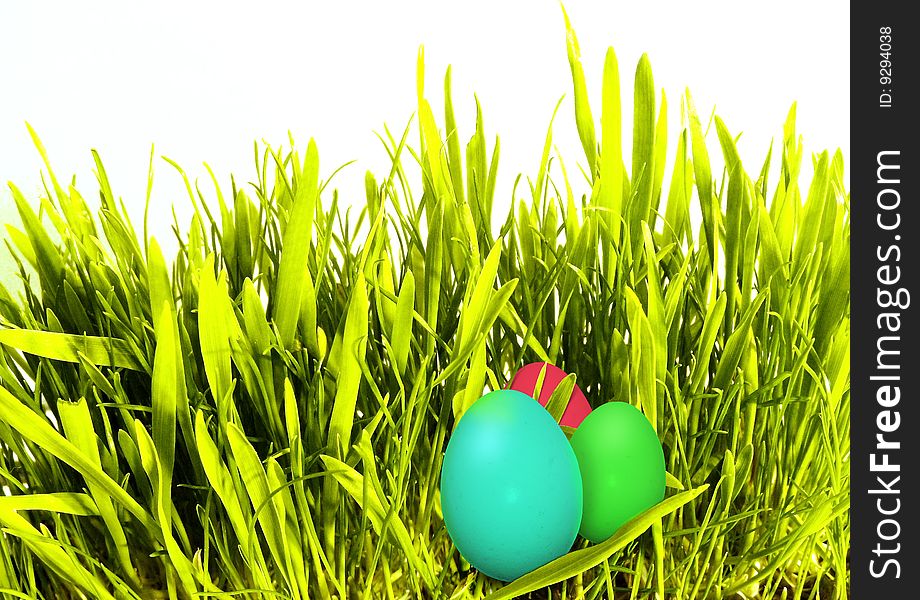Colored easter eggs in green grass.