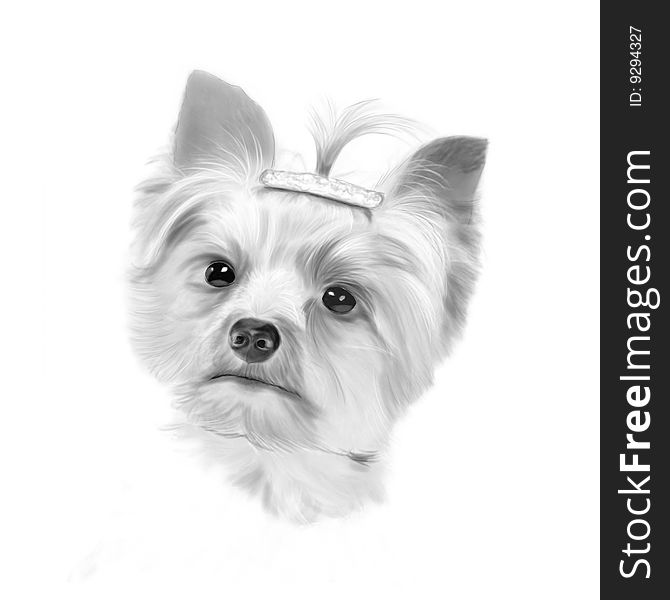 Little dog in grayscalle - handdraw with wacom intuos A4. Little dog in grayscalle - handdraw with wacom intuos A4
