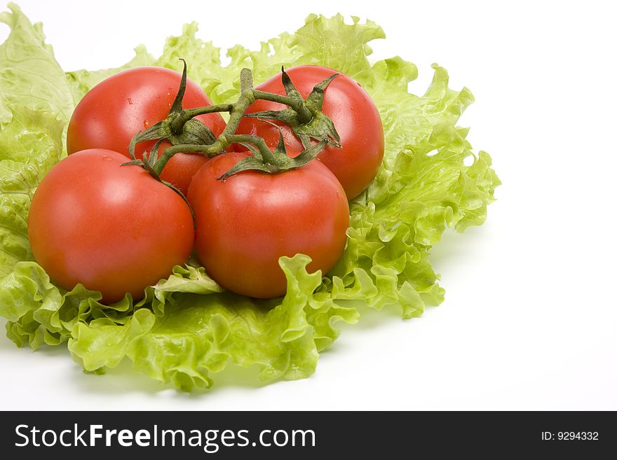 Group Red Tomato On Leaf Lettuce.