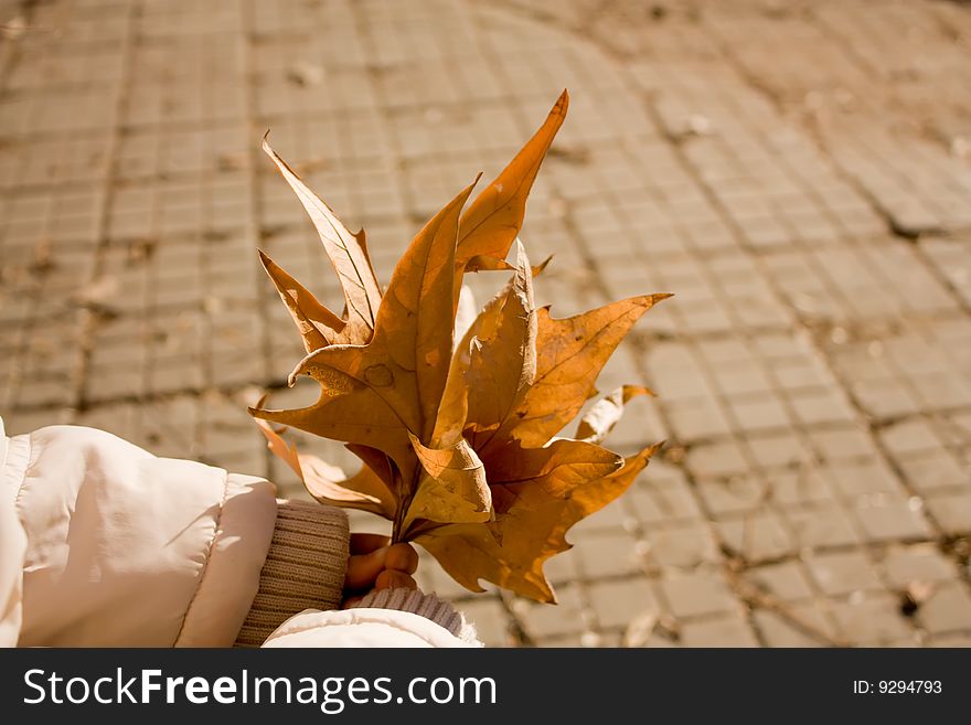 Collection of autumn leafs in child hands