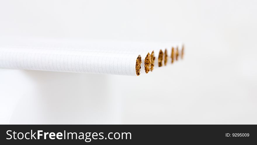 Row of cigarettes on white background