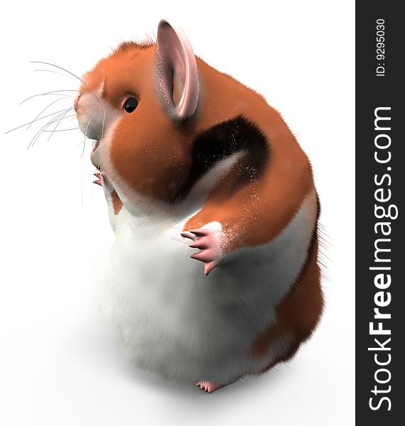 A hamster turned to the side looking happy, possibly waving at someone, or looking at text or design elements to the left. A hamster turned to the side looking happy, possibly waving at someone, or looking at text or design elements to the left.