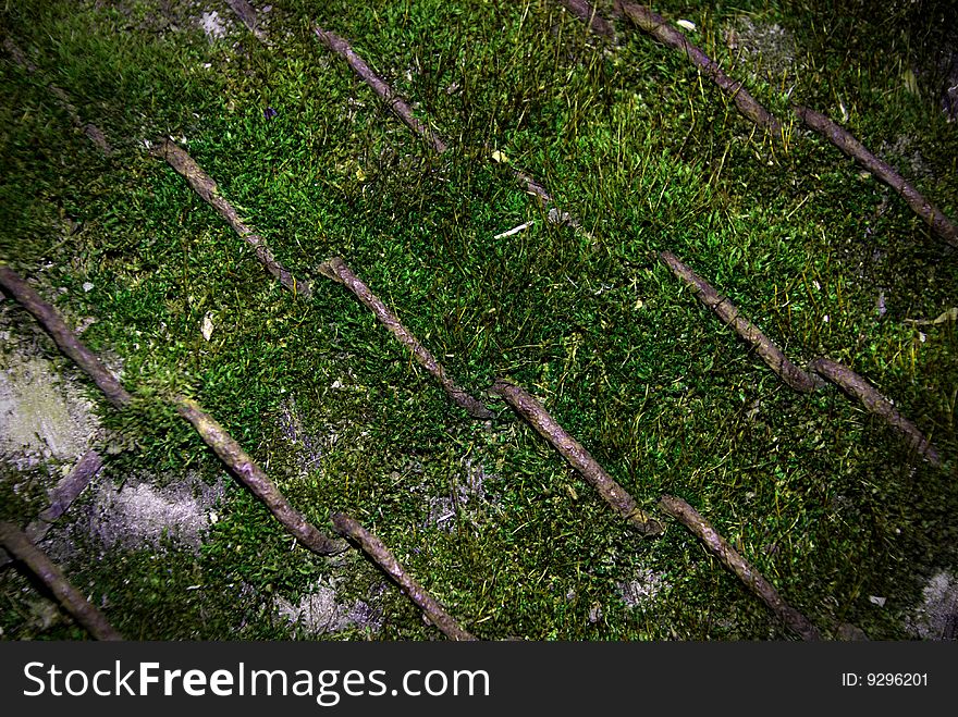 Ancient grass moss grid background