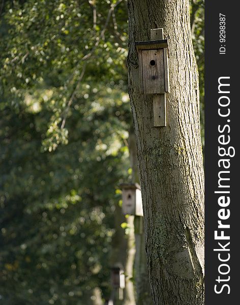 Some bird houses on trees