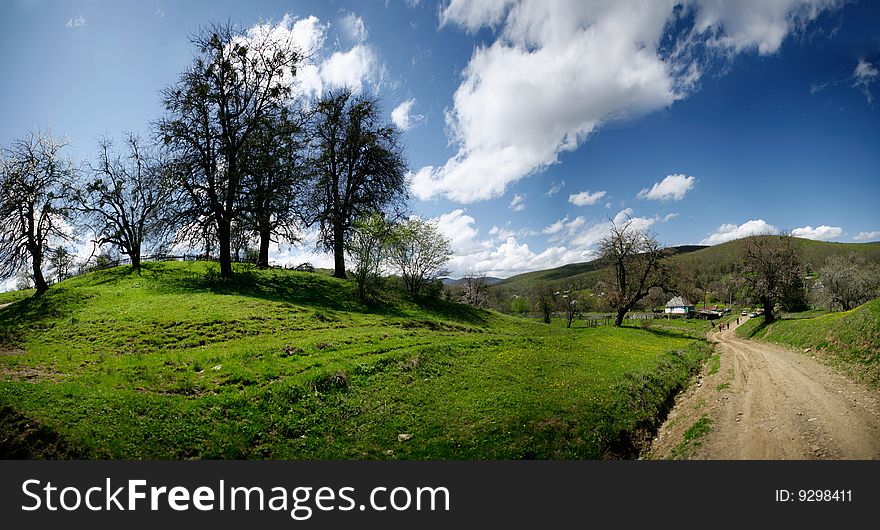 Summer landscape on the mountains