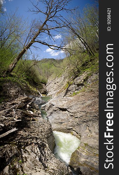 Stream in mountains among wood