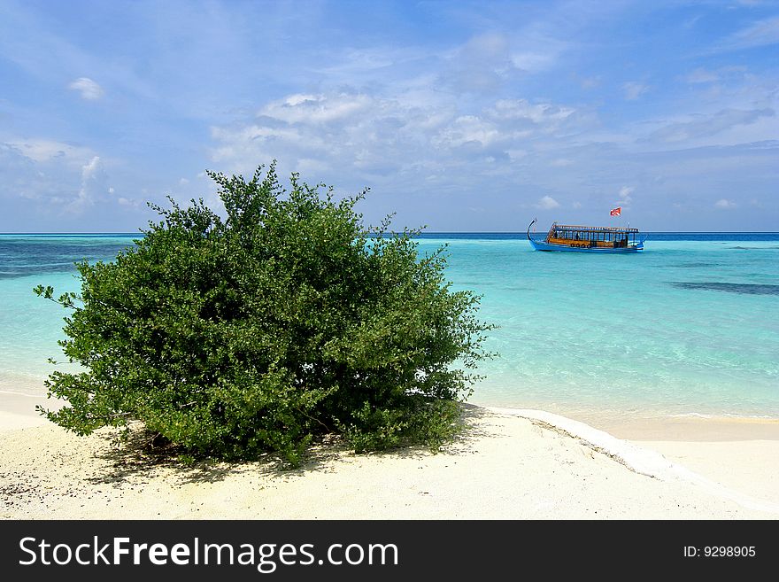 An exotic beach view in Maldives. A green bush in the fore ground and a boat at the background. An exotic beach view in Maldives. A green bush in the fore ground and a boat at the background.