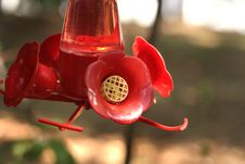 Red Feeder Royalty Free Stock Photos Red Feeder Royalty Free Stock Photos