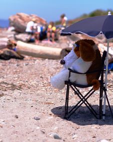 Woof At The Beach (left View) Royalty Free Stock Photography Woof At The Beach (left View) Royalty Free Stock Photography