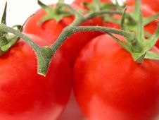 Tomatoes Temptation 2 Royalty Free Stock Photo Tomatoes Temptation 2 Royalty Free Stock Photo