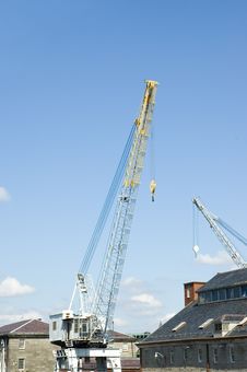 White And Yellow Cranes Stock Images White And Yellow Cranes Stock Images