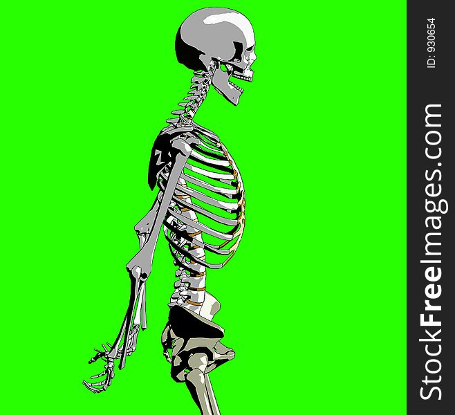 A skeleton in a pose. A skeleton in a pose