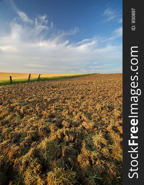 Afternoon field in a farming area. Afternoon field in a farming area