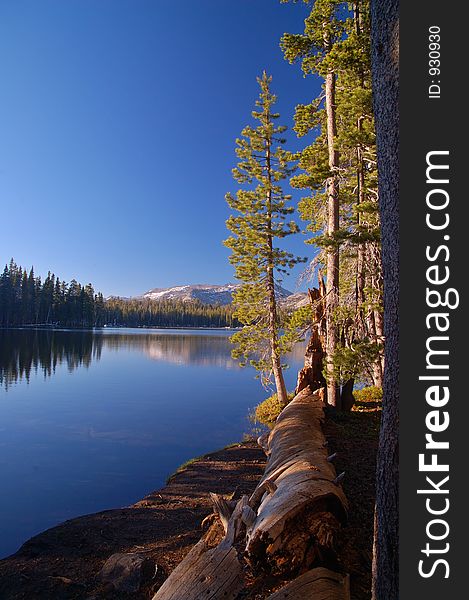 Northern Sierra Nevada mountain range, California, in spring. Northern Sierra Nevada mountain range, California, in spring