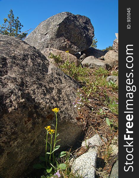 Northern Sierra Nevada mountain range, California, in spring. Northern Sierra Nevada mountain range, California, in spring