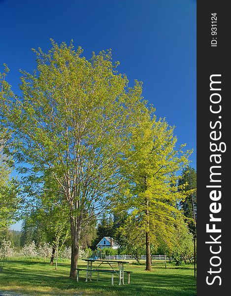 Rural springtime landscape with a picnic table. Rural springtime landscape with a picnic table