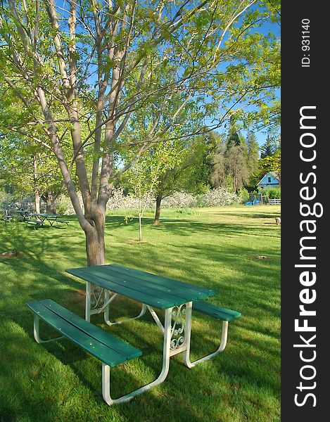 Rural springtime landscape with a picnic table. Rural springtime landscape with a picnic table