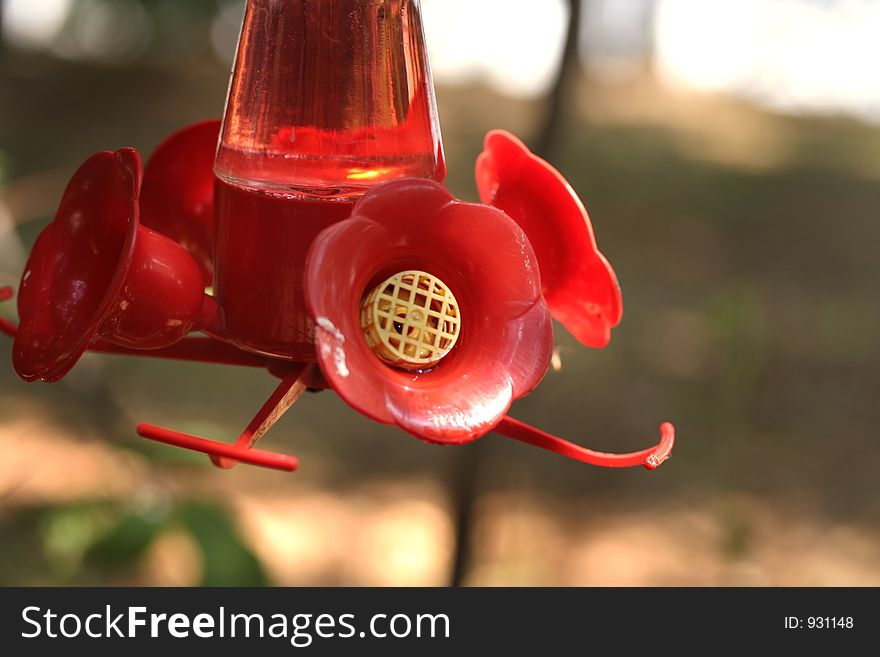 Red hummingbird feeder. Red hummingbird feeder