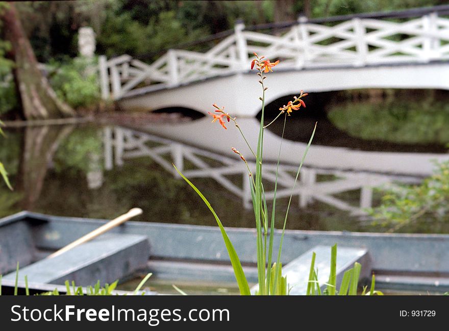 Peaceful scene of a rowboat, flower and bridge over a still pond. Peaceful scene of a rowboat, flower and bridge over a still pond