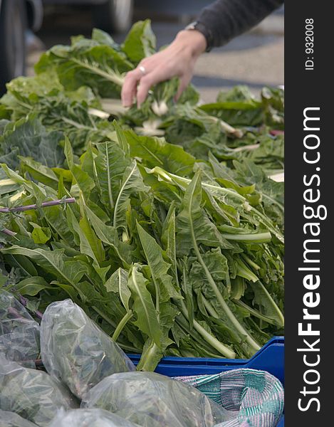 hand picking produce at Farmer's market. hand picking produce at Farmer's market