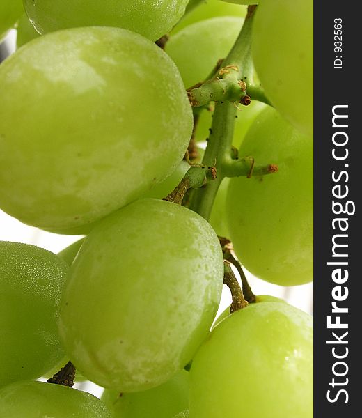 Fresh bunch of green grapes. Fresh bunch of green grapes.