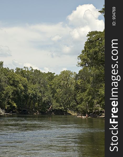 A boy drops into the river on the rope swing. A boy drops into the river on the rope swing.