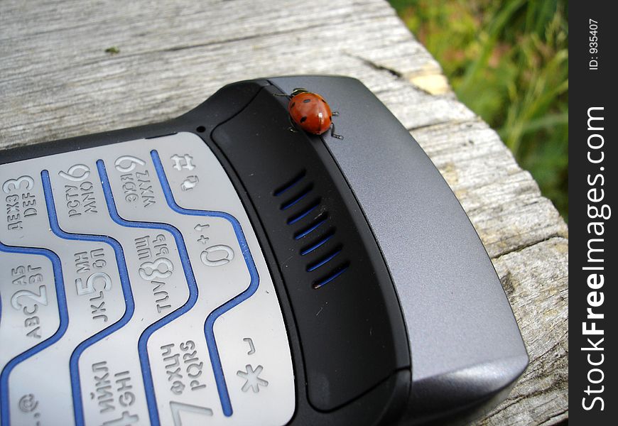 Phone & ladybird. Phone & ladybird