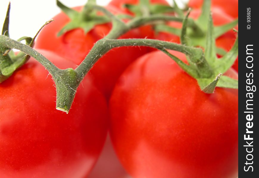 Extreme close-up of a tomatoes vine with selective focus on the vine. Extreme close-up of a tomatoes vine with selective focus on the vine.