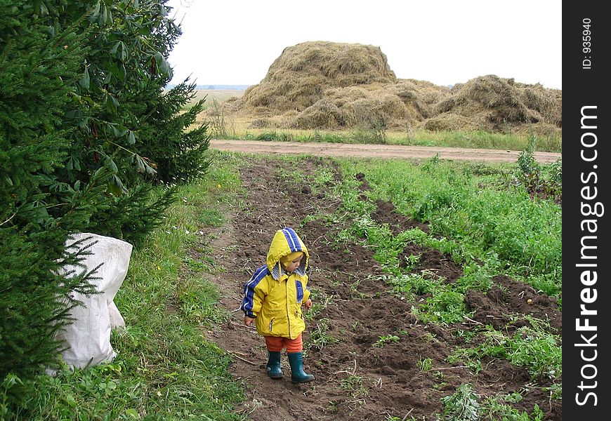 A girl in the potato-field. A girl in the potato-field