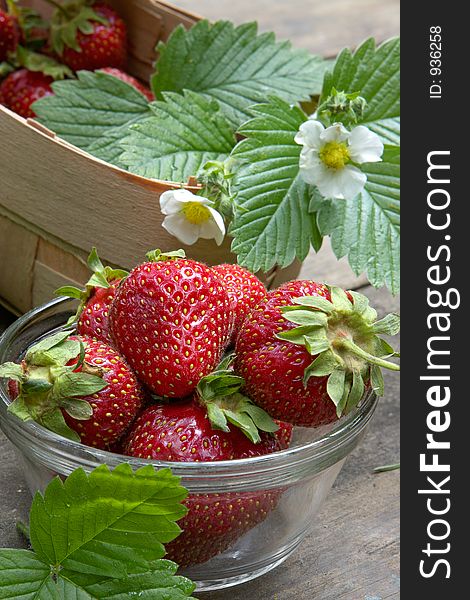 Ripe strawberry-juicy garden crop. Ripe strawberry-juicy garden crop