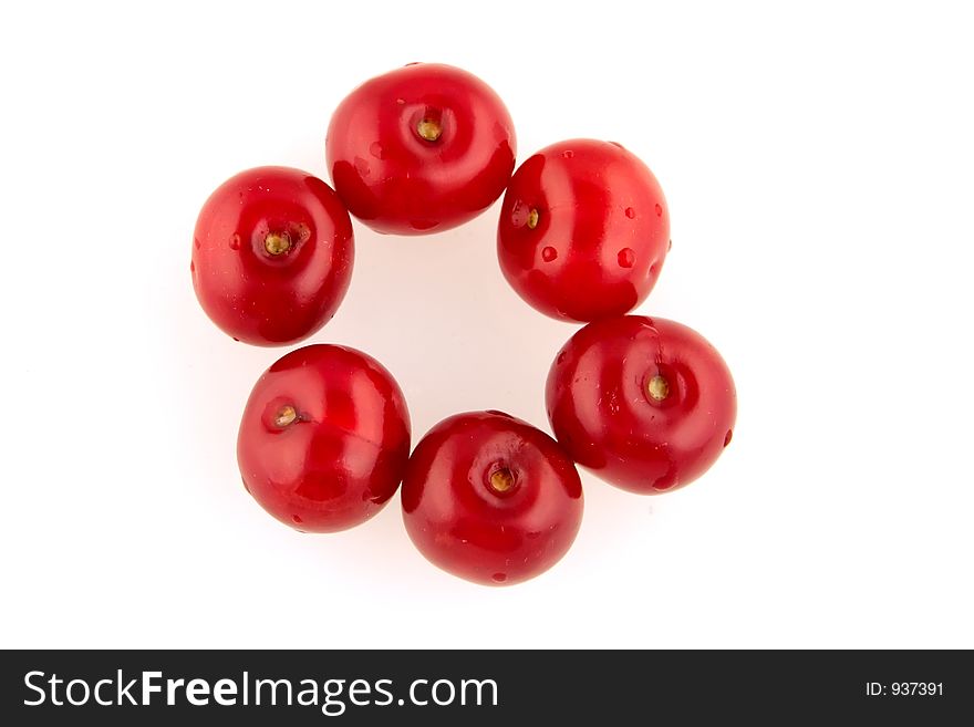 Morello cherry circle isolated on white background