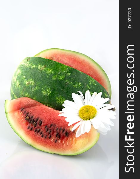 Watermelon with daisy flower isolated on white background portrait orientation. Watermelon with daisy flower isolated on white background portrait orientation