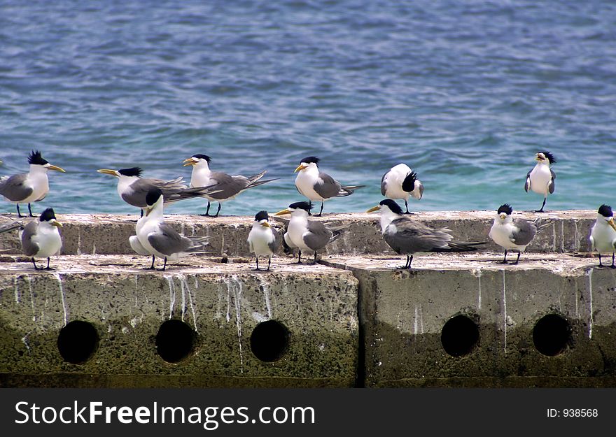 Resting on concrete blocks. Resting on concrete blocks