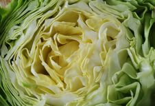 Fresh Green Cabbage Royalty Free Stock Photos Fresh Green Cabbage Royalty Free Stock Photos